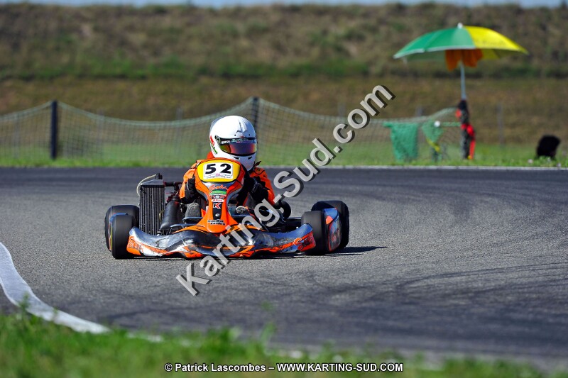 DSC_ (1632).jpg
